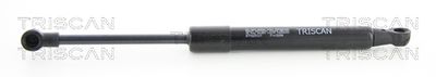 Gas Spring, bonnet TRISCAN 8710 25107