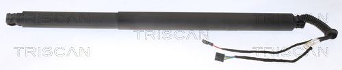 TRISCAN 8710 29311 Gas Spring, boot/cargo area