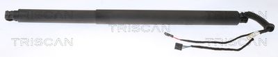 Gas Spring, boot/cargo area TRISCAN 8710 29311