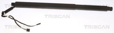 Gas Spring, boot/cargo area TRISCAN 8710 29312