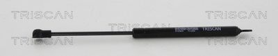 Gas Spring, rear window TRISCAN 8710 38241