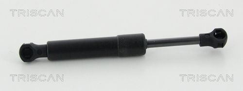 TRISCAN 8710 38247 Gas Spring, boot/cargo area