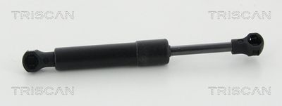 Gas Spring, boot/cargo area TRISCAN 8710 38247
