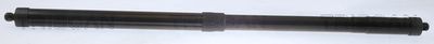 Gas Spring, boot/cargo area TRISCAN 8710 40302