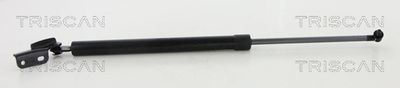 Gas Spring, boot/cargo area TRISCAN 8710 68223