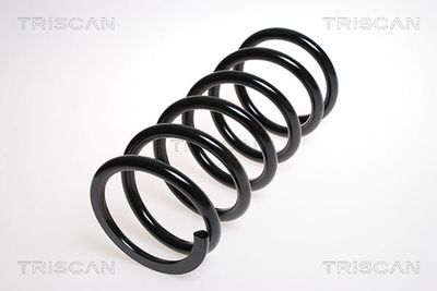Suspension Spring TRISCAN 8750 13142