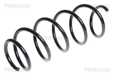 Suspension Spring TRISCAN 8750 15111