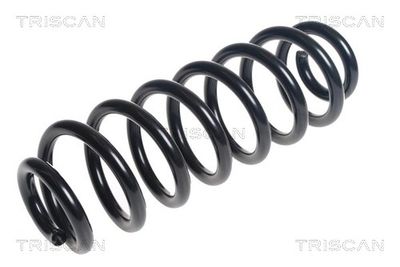 Suspension Spring TRISCAN 8750 29456