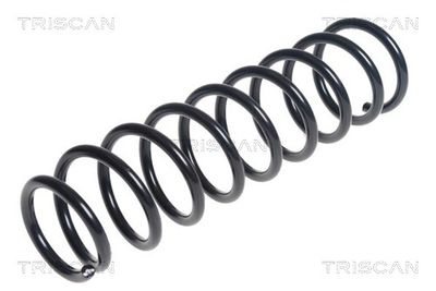 Suspension Spring TRISCAN 8750 4297
