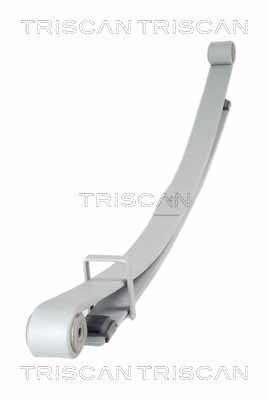 Spring Pack TRISCAN 8765 10011