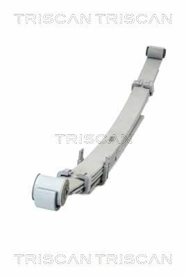 TRISCAN 8765 13027 Spring Pack
