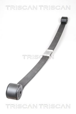 TRISCAN 8765 16039 Spring Pack