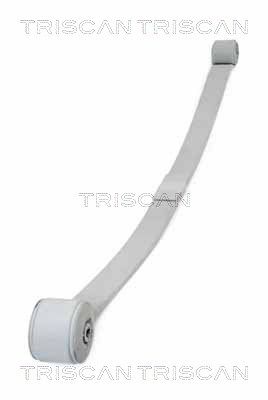 Spring Pack TRISCAN 8765 16045