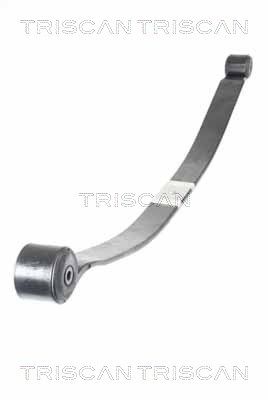 TRISCAN 8765 16049 Spring Pack