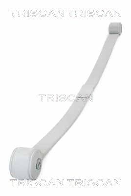 Spring Pack TRISCAN 8765 16057