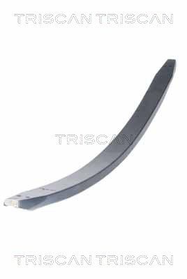 TRISCAN 8765 23037 Spring Pack