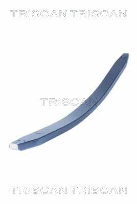 TRISCAN 8765 23039 Spring Pack
