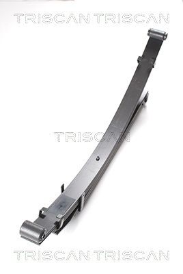 TRISCAN 8765 42006 Spring Pack