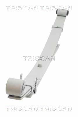 TRISCAN 8765 43004 Spring Pack