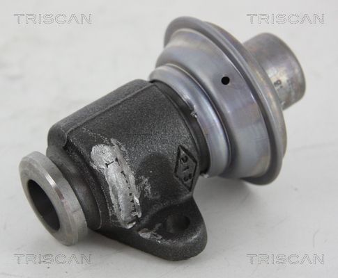 TRISCAN 8813 25006 EGR Valve