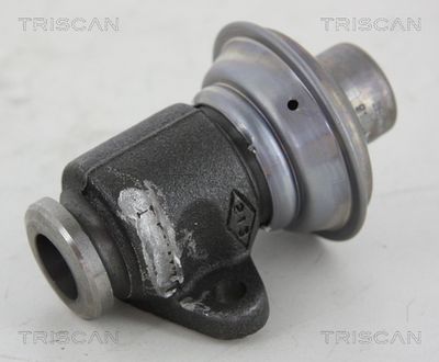 EGR Valve TRISCAN 8813 25006