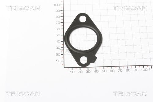 TRISCAN 8813 99124 Seal