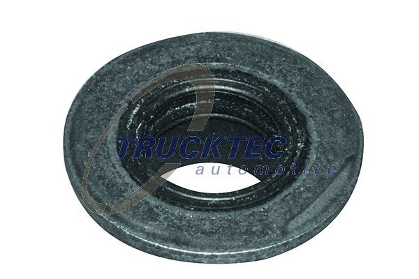 TRUCKTEC AUTOMOTIVE 01.10.189 Seal Ring, cylinder head cover bolt