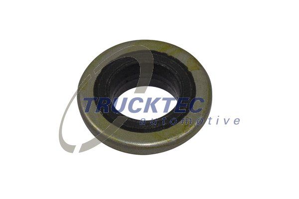 TRUCKTEC AUTOMOTIVE 01.10.190 Seal Ring, cylinder head cover bolt