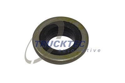 Seal Ring, cylinder head cover bolt TRUCKTEC AUTOMOTIVE 01.10.190