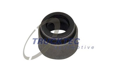 Seal Ring, valve stem TRUCKTEC AUTOMOTIVE 01.12.012
