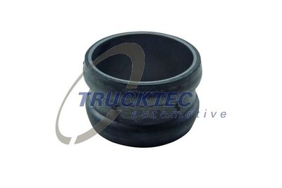 Connection Piece, coolant line TRUCKTEC AUTOMOTIVE 01.19.238