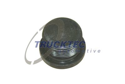 Screw Plug, axle drive TRUCKTEC AUTOMOTIVE 01.67.056