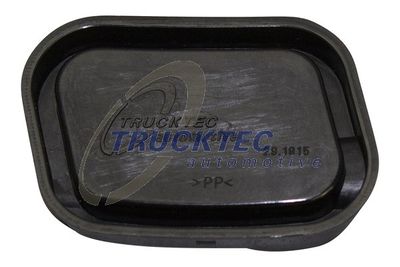 Sealing/Protective Cap TRUCKTEC AUTOMOTIVE 02.10.101