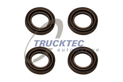Gasket, cylinder head cover TRUCKTEC AUTOMOTIVE 02.10.135