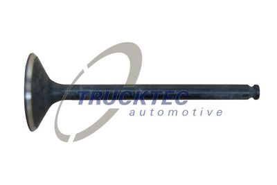 Intake Valve TRUCKTEC AUTOMOTIVE 02.12.137