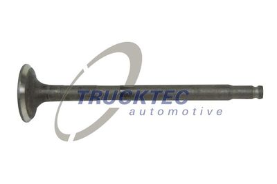 Exhaust Valve TRUCKTEC AUTOMOTIVE 02.12.144