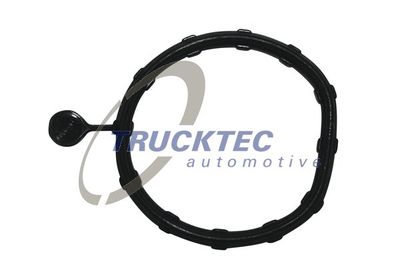 Gasket, plenum chamber TRUCKTEC AUTOMOTIVE 02.19.346