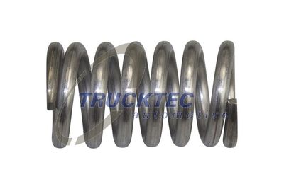 Spring, muffler TRUCKTEC AUTOMOTIVE 02.39.096