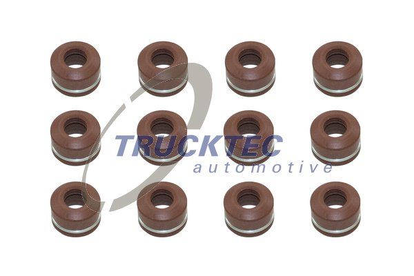 TRUCKTEC AUTOMOTIVE 02.43.116 Seal Set, valve stem