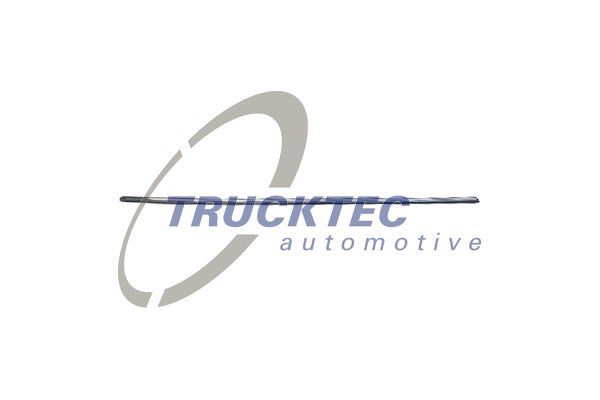 TRUCKTEC AUTOMOTIVE 02.52.001 Trim/Protection Strip, wing