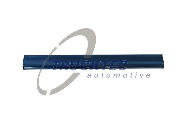 TRUCKTEC AUTOMOTIVE 02.52.111 Trim/Protection Strip, door