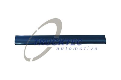 Trim/Protection Strip, door TRUCKTEC AUTOMOTIVE 02.52.111