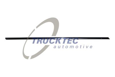 Trim/Protection Strip, door TRUCKTEC AUTOMOTIVE 02.52.127