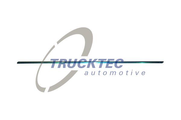 TRUCKTEC AUTOMOTIVE 02.52.130 Trim/Protection Strip, door