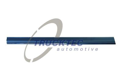 Trim/Protection Strip, door TRUCKTEC AUTOMOTIVE 02.52.132