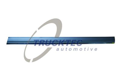 Trim/Protection Strip, door TRUCKTEC AUTOMOTIVE 02.52.134