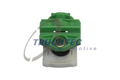 Sliding Shoe, window regulator TRUCKTEC AUTOMOTIVE 02.53.099