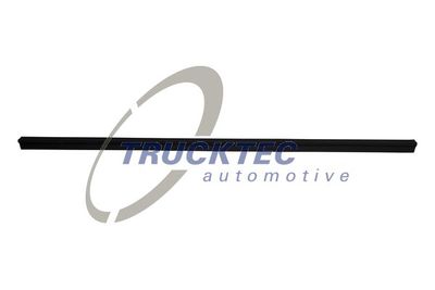 Trim/Protection Strip, door window TRUCKTEC AUTOMOTIVE 02.53.103