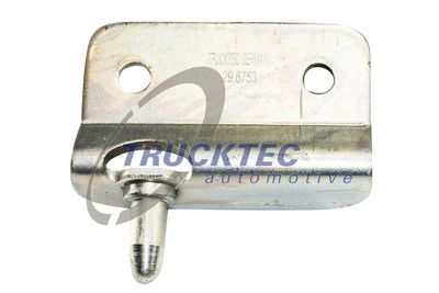 Door Check TRUCKTEC AUTOMOTIVE 02.53.249