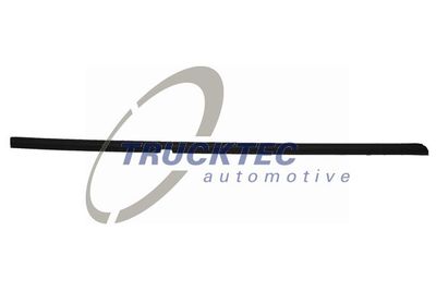 Trim/Protection Strip, door window TRUCKTEC AUTOMOTIVE 02.54.018